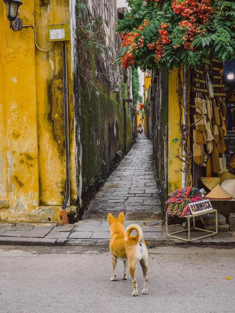 La Gai Homestay Hoi An Zewnętrze zdjęcie